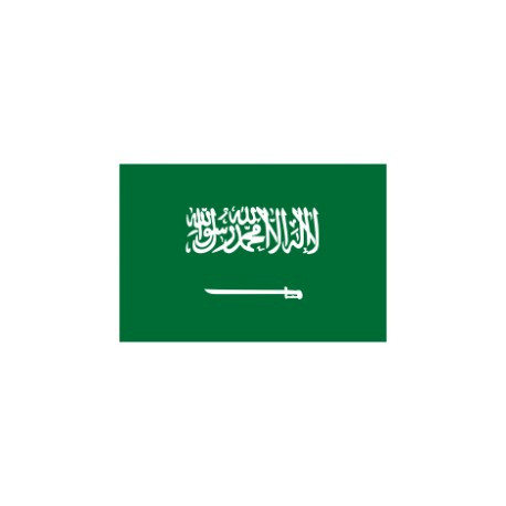 Saudi Arabia RDP - Cloud RDP - Jeddah ( Saudi Arabia )