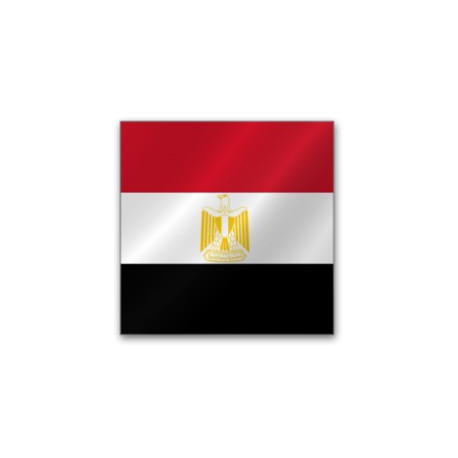 Egypt RDP - Cloud RDP - Cairo ( Egypt )